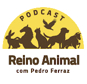 Reino Animal